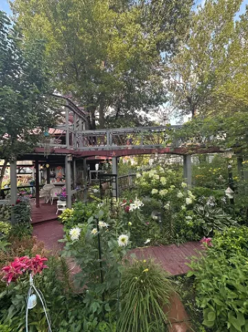 Tree house  lots birds  great location . ..... lots to do all summer long ......