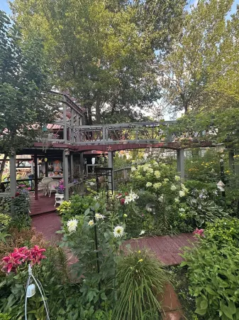 Tree house  lots birds  great location . ..... lots to do all summer long ...... Отели в г. Мейфилд