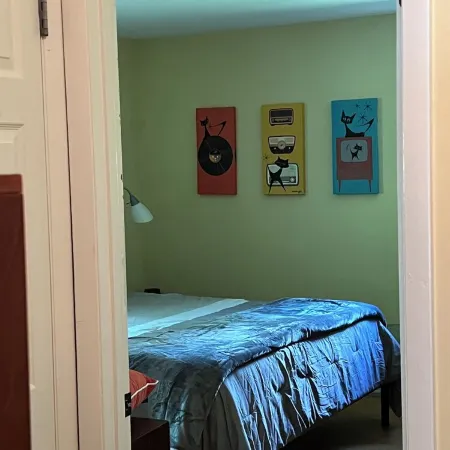 Retro 1-bedroom duplex in quiet Chapel Hill neighborhood