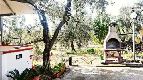 Villetta immersa nell'uliveto di famiglia