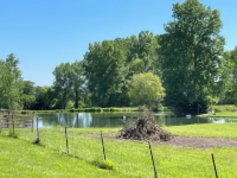 Private Basement Suite w/ Private Entry / Quiet Home / Long Stays Welcome Hotels in O'Fallon Township