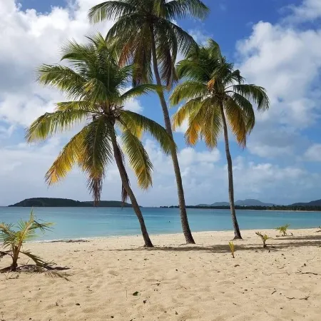 Wind Dancer - Beautiful Ocean View Condo