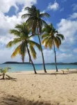 Wind Dancer - Beautiful Ocean View Condo