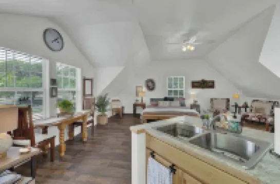 Cactus Flower Treehouse-Pet Friendly-Hill Country Views!