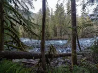 Snowater Condo #Story Condo - Sleeps 4 - Close to Community Amenities!