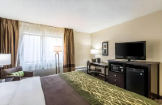 Comfort Inn Downtown