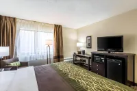 Comfort Inn Downtown