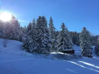 Studio in France with Ski Slope Access