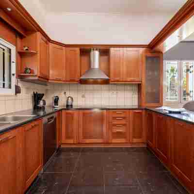 Leone Luxury Villa Giota Rooms