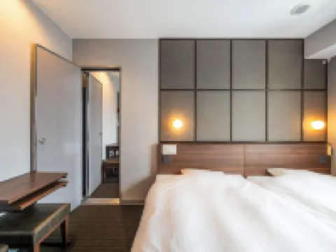 Super Hotel Premier Jr Nara Eki