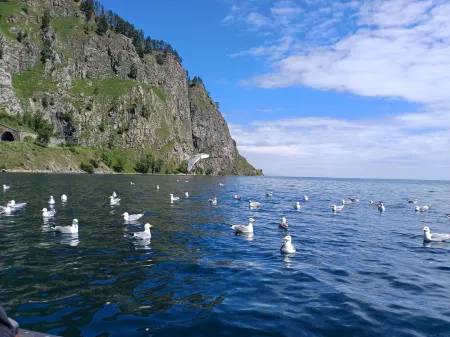 Arshan Mini Hotel Отели в г. Слюдянка