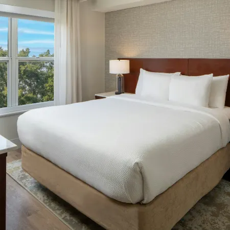 Residence Inn Atlanta Buckhead/Lenox Park