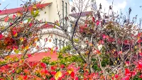 Sesimcheon Hot Springs Hotel - 2-Star