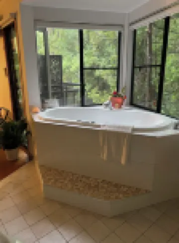 Ecoasis Mami Wata Rainforest Haven