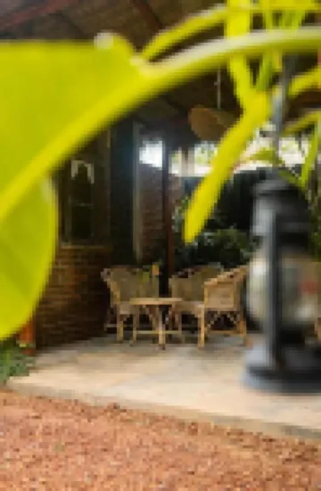 Banana Bunks Mirissa