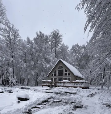 Winter Getaway • Fireplace • Arrowhead Lake • 3Br