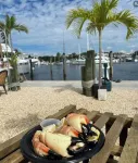 5. Guest's Favorite: Waterfront Apt in Key Largo!