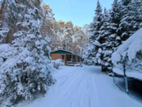 Ferienhaus Waldoase für 2 - 3 Personen, Freistehend auf Eingezäuntem Grundstück Hotels in Beelitz