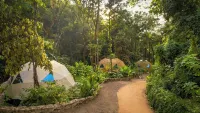 Cabo Real Luxury Glamping