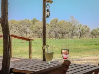 Khwai Mokoro Safaris and Campsites Hotels in Ngamiland North