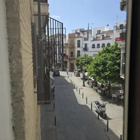 Le Petit Palü Sevilla