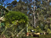Harmony Forest Cottages & Lake Side Lodge Hotels in 