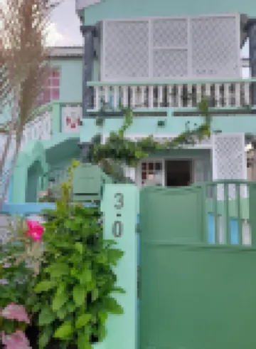 Tropical Blossom Apt. with washer, T.V, a/c,wi-fi Hotels in 