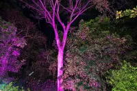 Hotel Casa del Arbol Manuel Antonio - Adults Only - palestra