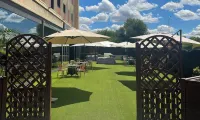 Sercotel Las Artes Pinto