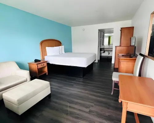 Rodeway Inn Clearwater - Central Hotels in Clearwater