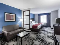 Comfort Suites Greenville