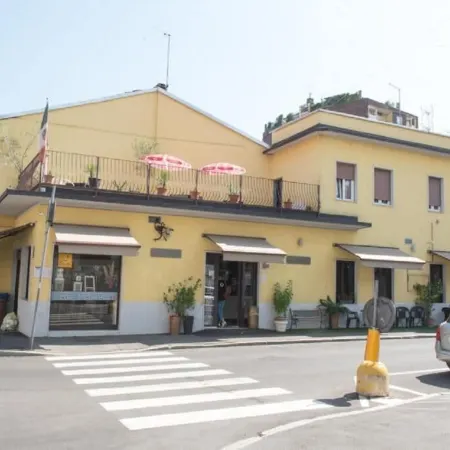 Il Ragno D`Oro