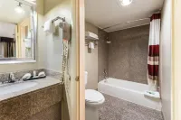 Red Roof Inn Morton Grove - motel