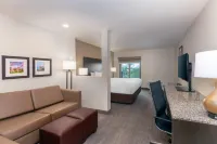 Coral Pointe Sarasota, an Ascend Collection Hotel - Wifi