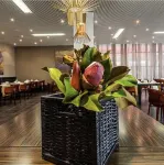 Samba Hotel - breakfast