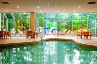 Embassy Suites by Hilton Cincinnati Northeast Blue Ash - Pools