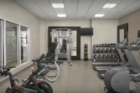 Hilton Garden Inn Gallup - نادي رياضي