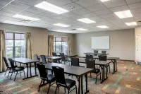 Residence Inn Cincinnati Airport - Pet friendly