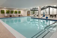 Embassy Suites by Hilton Atlanta Alpharetta - Wifi