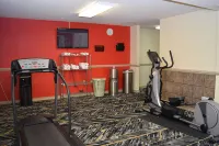 Red Roof Inn Batavia - Motels