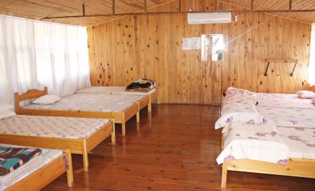 Saban Pansion Treehouses - Housity