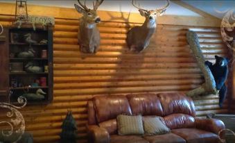 Deer Mountain Lodge & Wilderness Resort