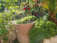 Inspired Villa Christina II with Private Pool and Garden. Hotels in Gorgolaini