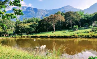 a serene landscape with a mountain range in the background , a grassy field with two swans swimming in a pond , and a grassy area at Jungle Hut