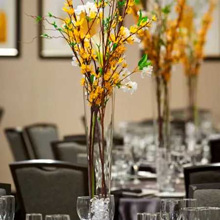Homewood Suites by Hilton Hamilton