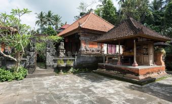 Alam Pracetha Bali Ubud