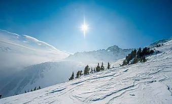 Hotel les Alpes