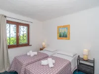 Hibiscus Hotels in Palau