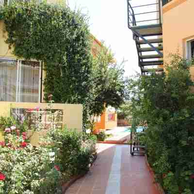 Elotia Hotel Hotel Exterior