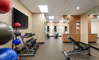 a well - equipped gym with various exercise equipment , including treadmills , weights , and benches , as well as a television mounted on the wall at TownePlace Suites Memphis Southaven